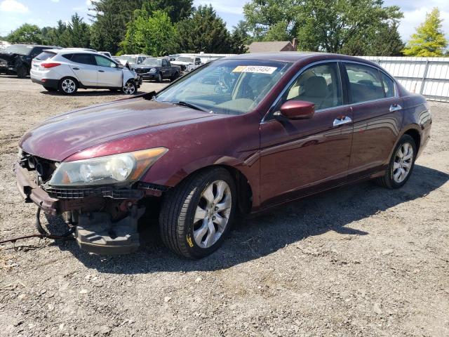 1HGCP36828A019132 2008 Honda Accord Exl