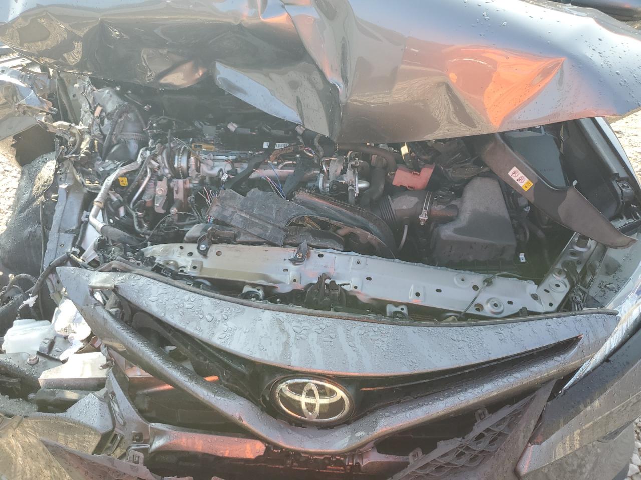 4T1B11HK2KU222256 2019 Toyota Camry L