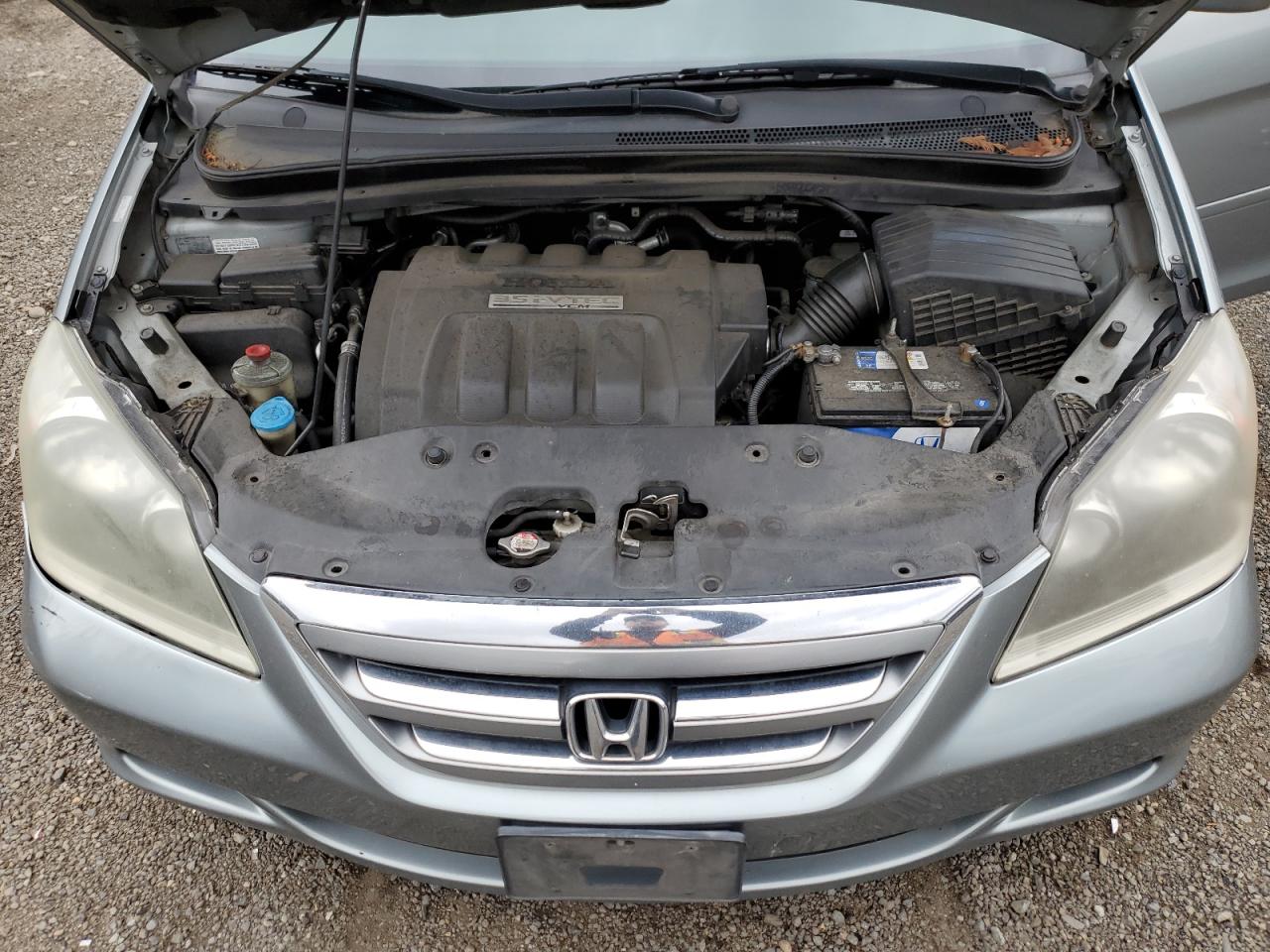 5FNRL38726B110768 2006 Honda Odyssey Exl