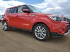 KIA SOUL + photo