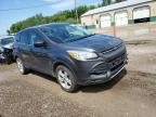 FORD ESCAPE SE photo