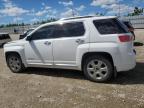 GMC TERRAIN DE photo