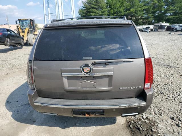 2013 Cadillac Escalade Premium VIN: 1GYS4CEF7DR190449 Lot: 59332744