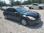 NISSAN ALTIMA BAS photo