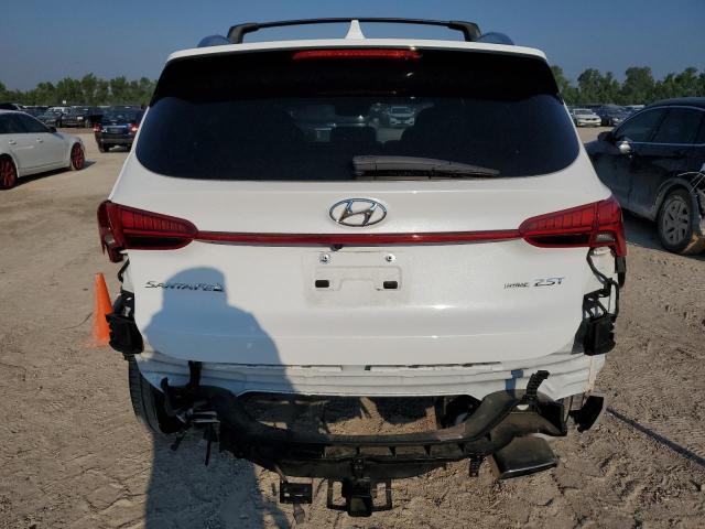 2021 Hyundai Santa Fe Calligraphy VIN: 5NMS5DAL0MH355881 Lot: 59226954