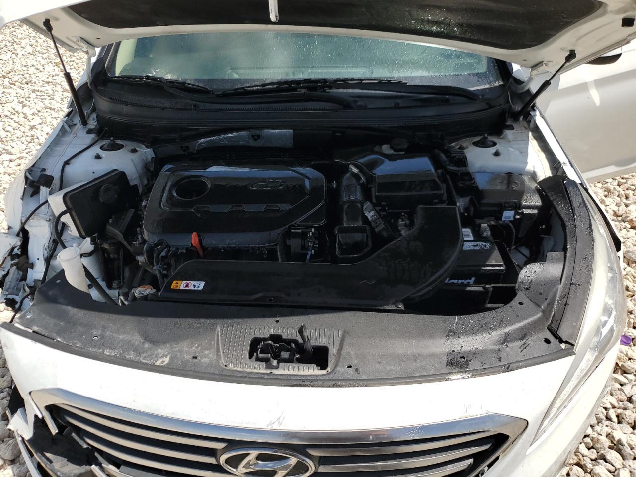 5NPE24AFXGH379659 2016 Hyundai Sonata Se