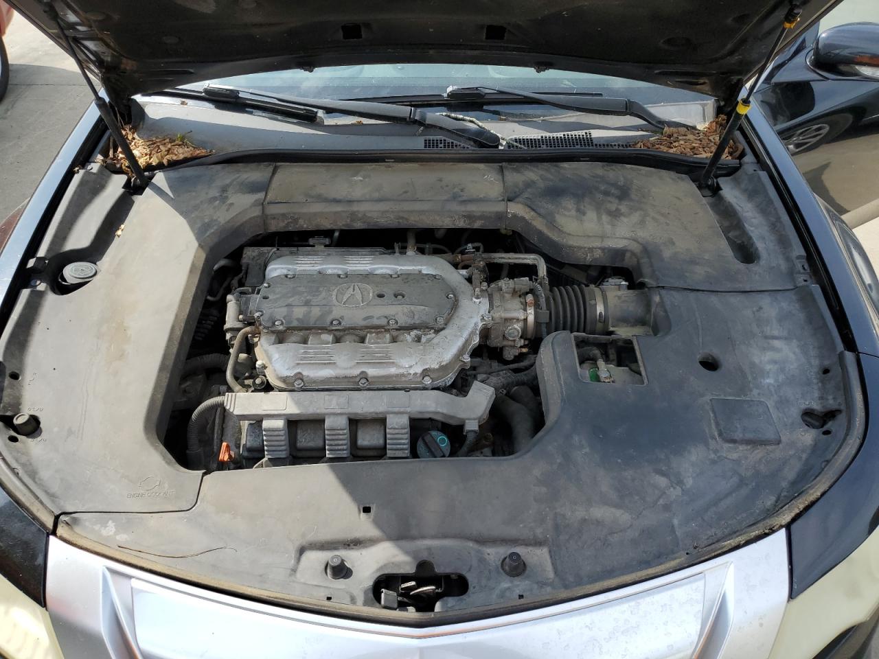 19UUA865X9A009488 2009 Acura Tl