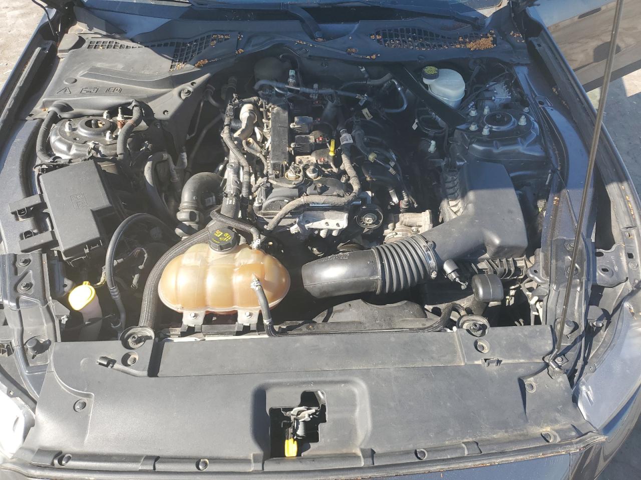 1FA6P8TH6F5369596 2015 Ford Mustang