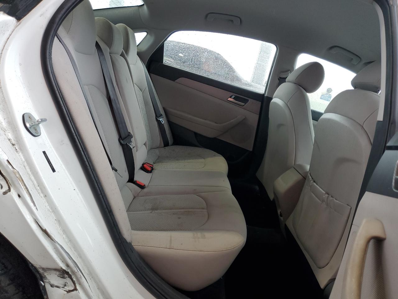 5NPE24AF7KH819135 2019 Hyundai Sonata Se