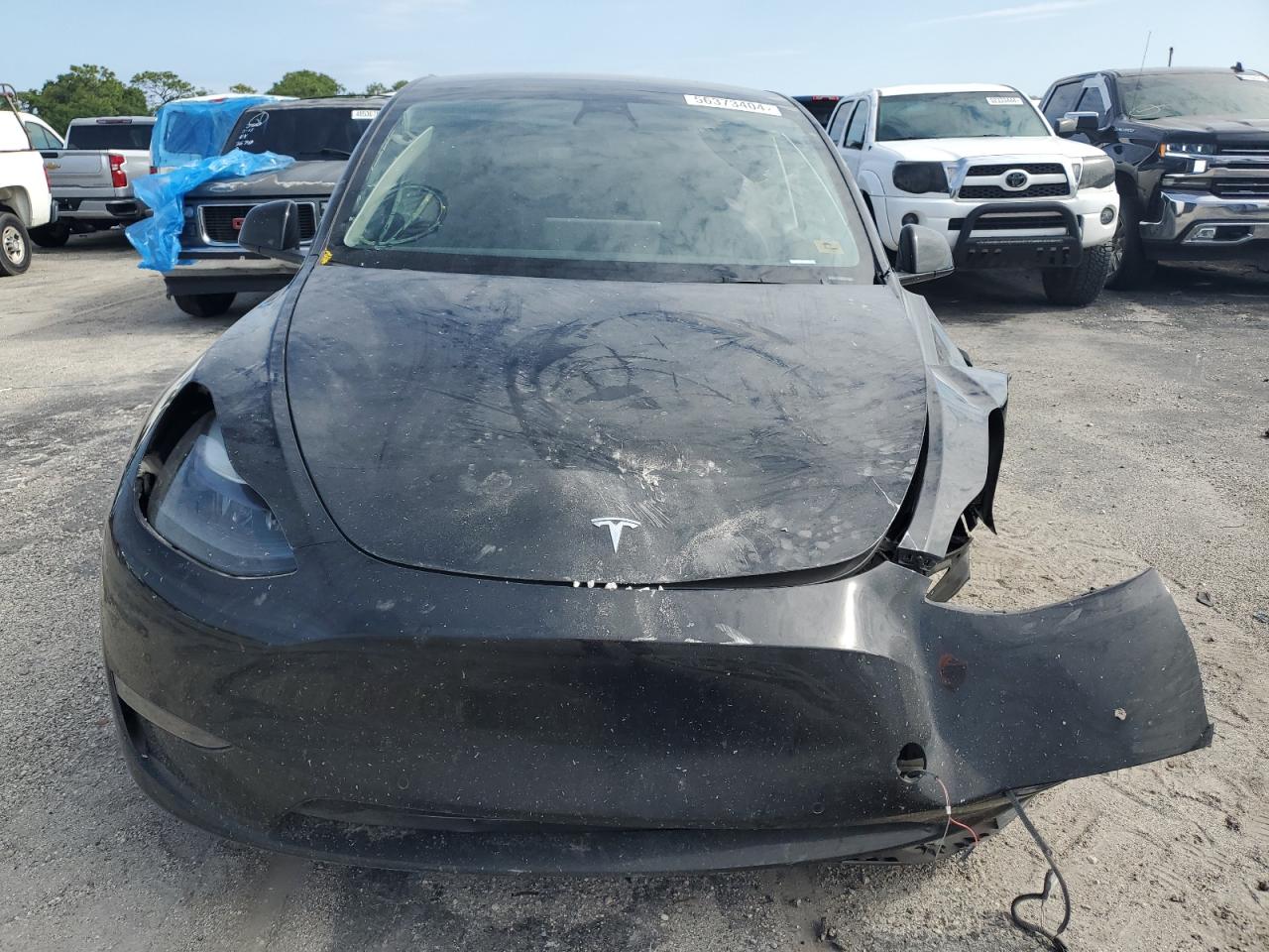 Lot #2974826155 2022 TESLA MODEL Y