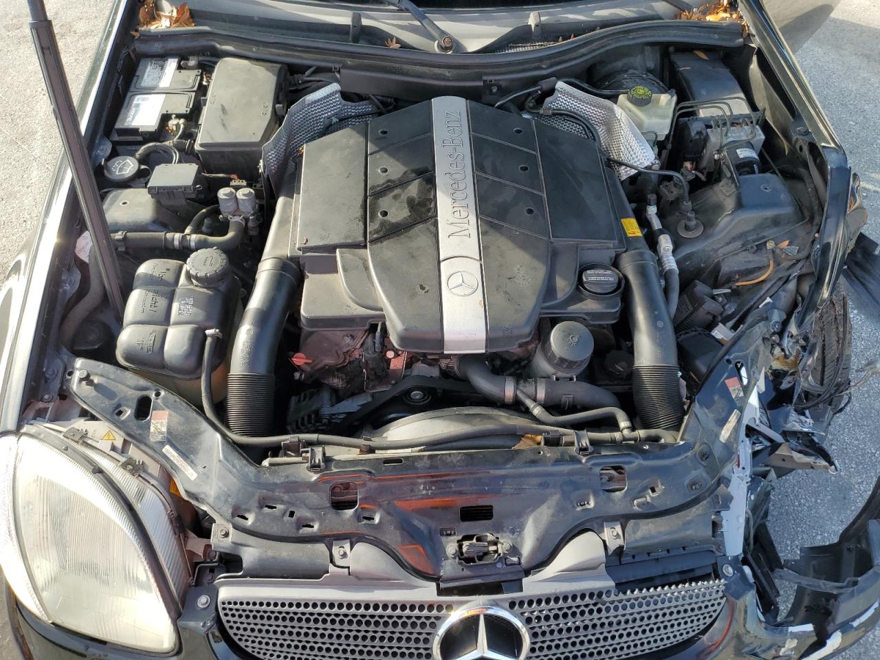 WDBKK65F52F244034 2002 Mercedes-Benz Slk 320