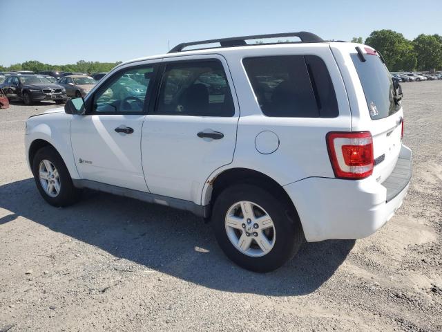 1FMCU59389KC19183 2009 Ford Escape Hybrid