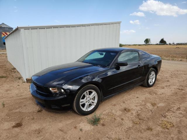 1ZVBP8AN4A5138123 2010 Ford Mustang