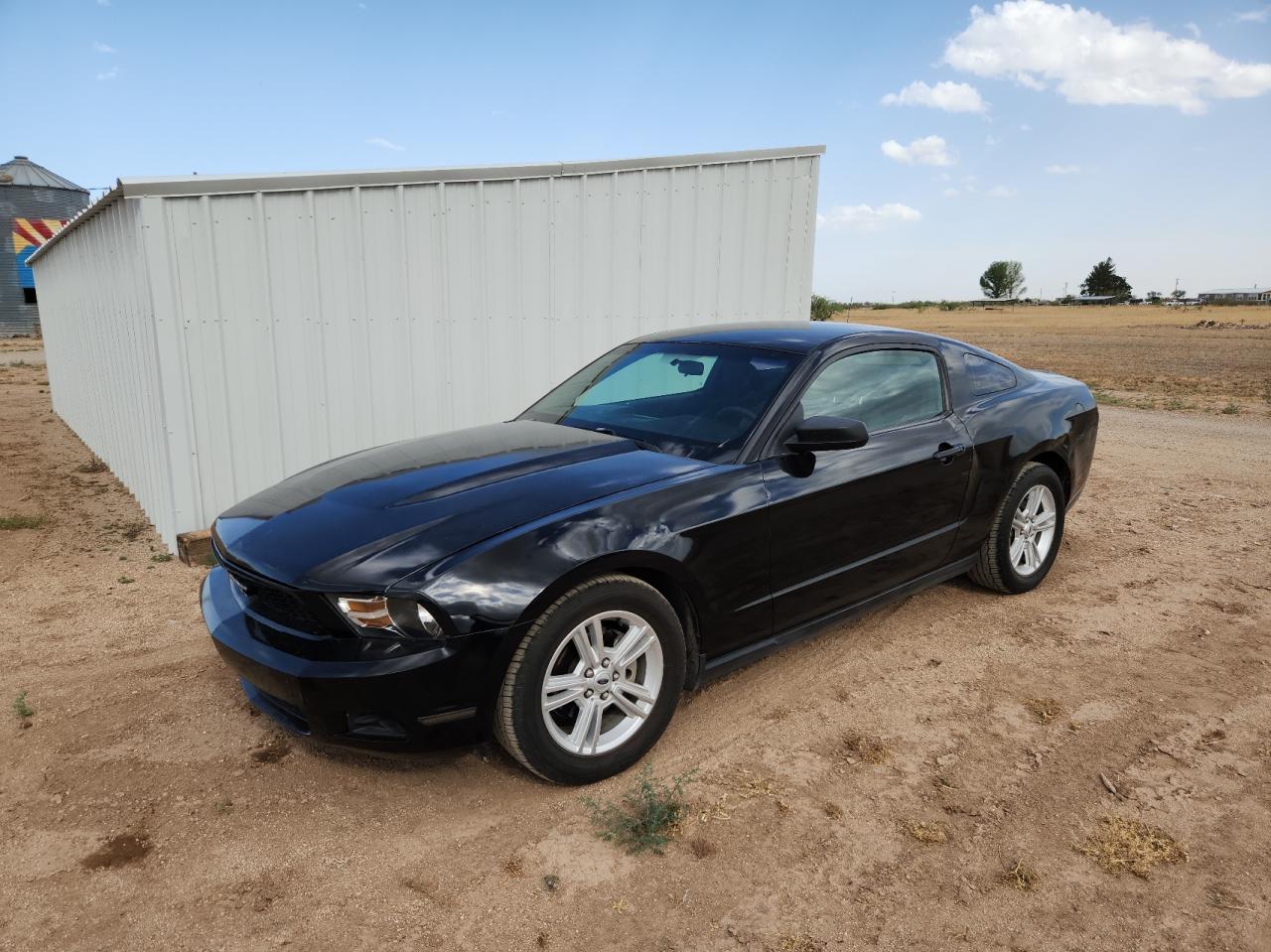 1ZVBP8AN4A5138123 2010 Ford Mustang 1ZVBP8AN4A5138123 2010 Ford Mustang