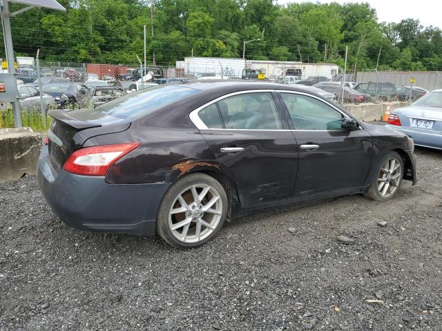 2011 Nissan Maxima S VIN: 1N4AA5AP8BC857412 Lot: 57032424