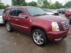 CADILLAC ESCALADE P photo