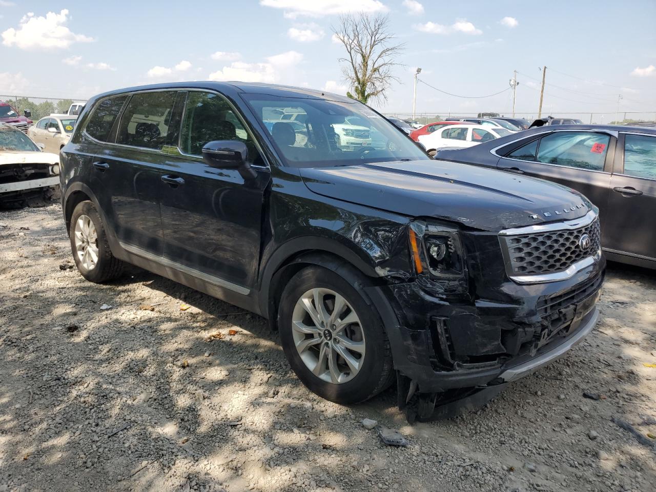 Lot #2955141825 2021 KIA TELLURIDE