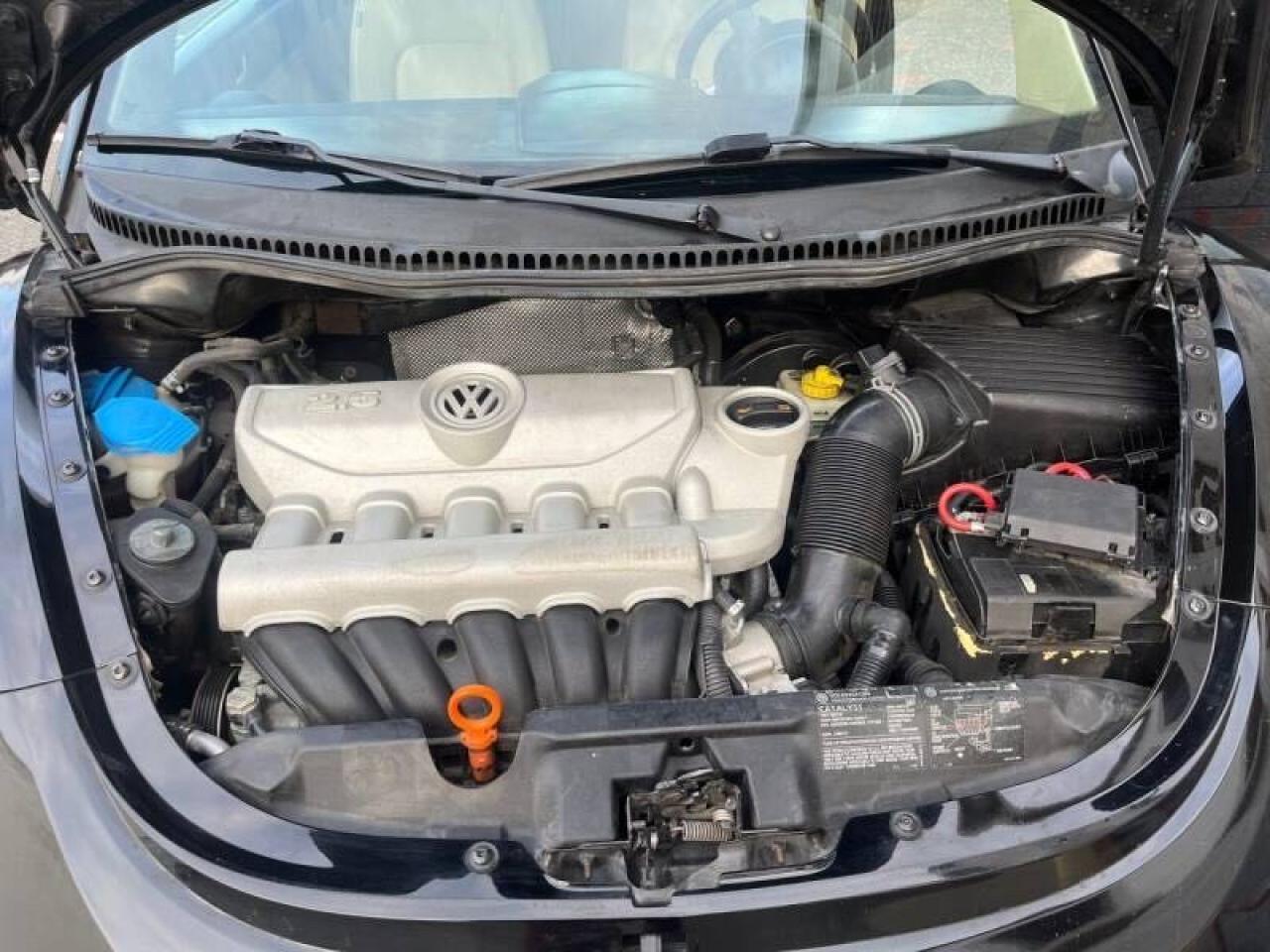 3VWPW31C57M504345 2007 Volkswagen New Beetle 2.5L