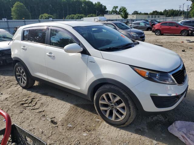 2016 Kia Sportage Lx VIN: KNDPBCAC3G7853903 Lot: 55453564