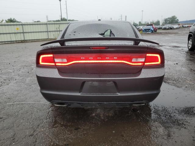 2014 Dodge Charger R/T VIN: 2C3CDXDT2EH248689 Lot: 60285914