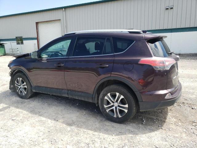 2016 Toyota Rav4 Le VIN: 2T3BFREV4GW429101 Lot: 59834624