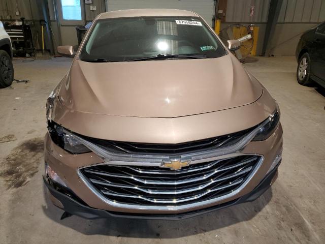 2019 Chevrolet Malibu Lt VIN: 1G1ZD5ST1KF124917 Lot: 57958244