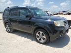 HONDA PILOT EXL photo