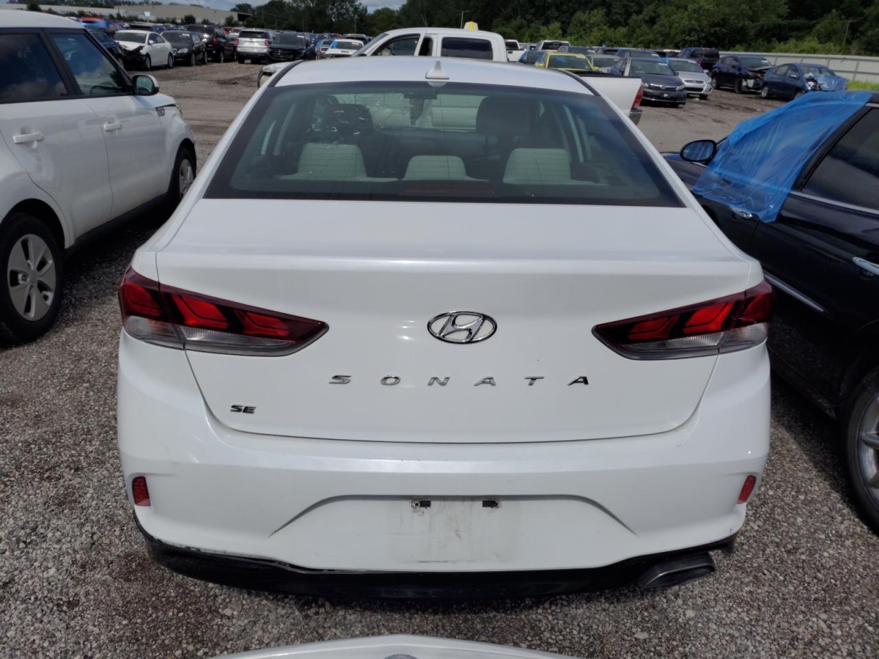 5NPE24AF5KH788239 2019 Hyundai Sonata Se