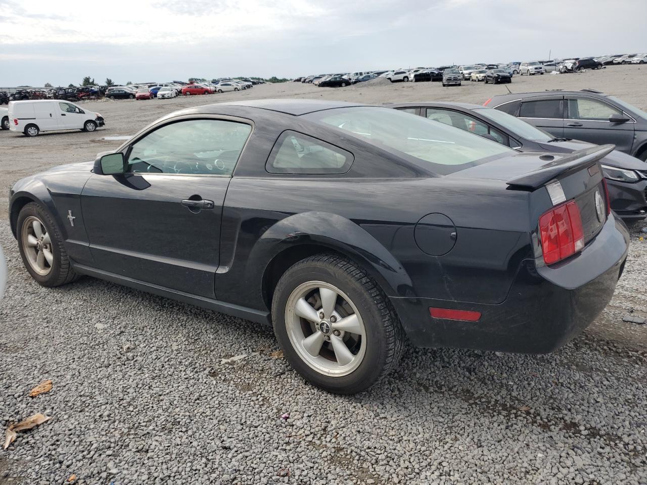 Lot #2650149384 2007 FORD MUSTANG