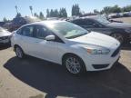 FORD FOCUS SE photo