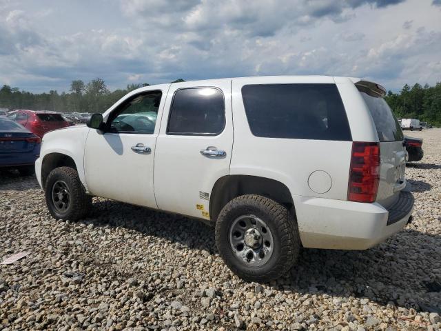 2012 CHEVROLET TAHOE SPEC 1GNSK2E09CR299549  60705684