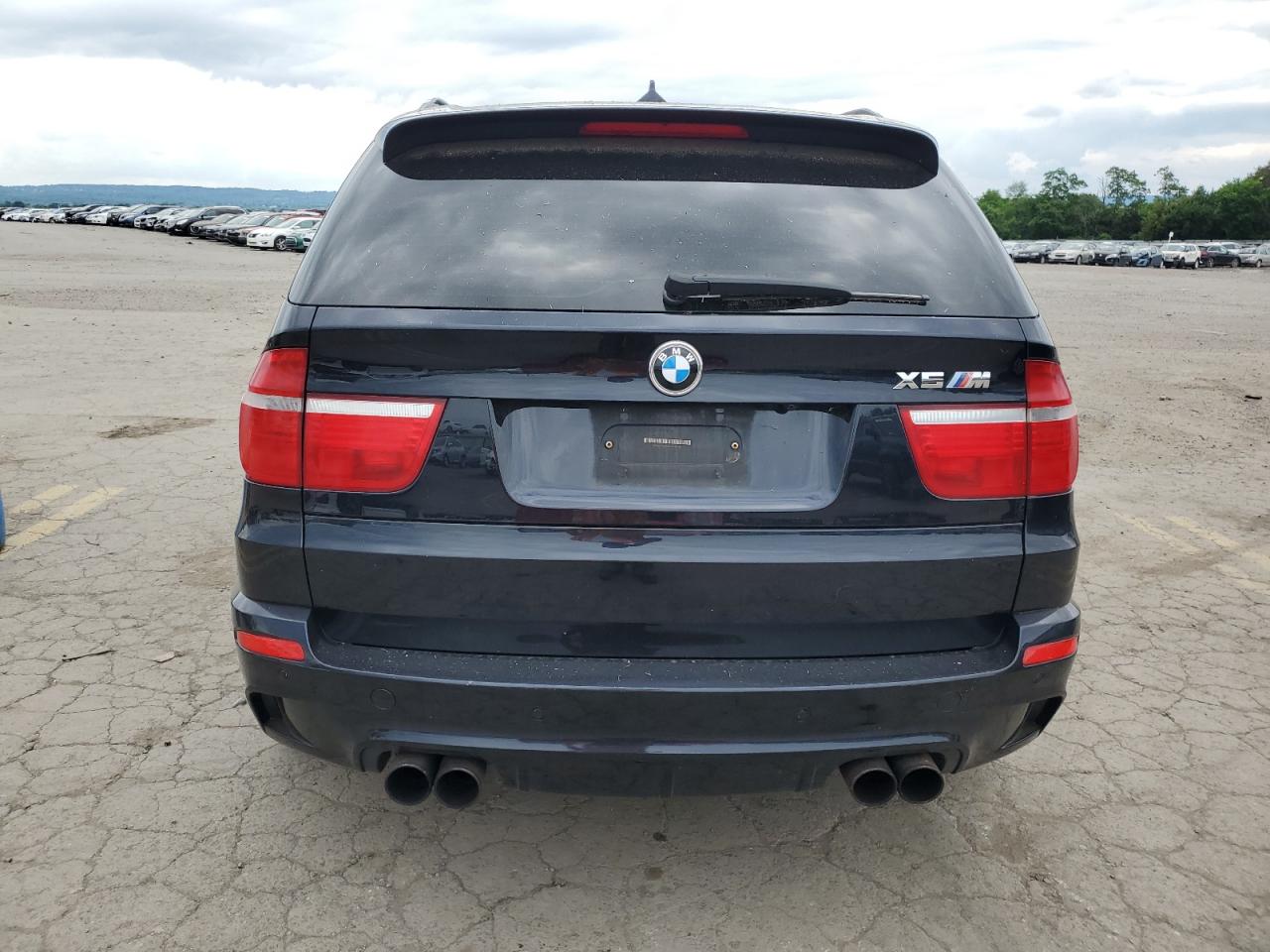 5YMGY0C5XALK26035 2010 BMW X5 M