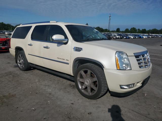 2010 Cadillac Escalade Esv Premium VIN: 1GYUKJEF8AR136852 Lot: 57187604