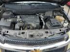 CHEVROLET EQUINOX LS photo