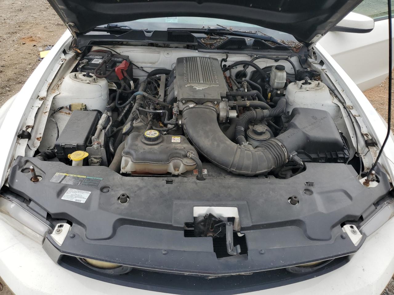 1ZVBP8CH0A5120340 2010 Ford Mustang Gt