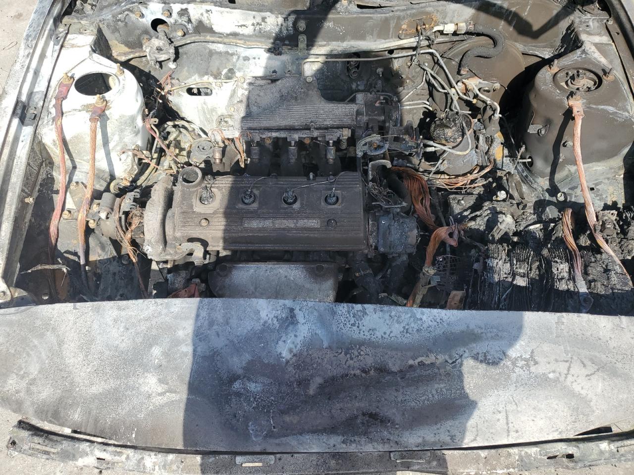 2T1AE09B7RC068891 1994 Toyota Corolla Le