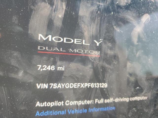 2023 Tesla Model Y VIN: 7SAYGDEFXPF613129 Lot: 57536064