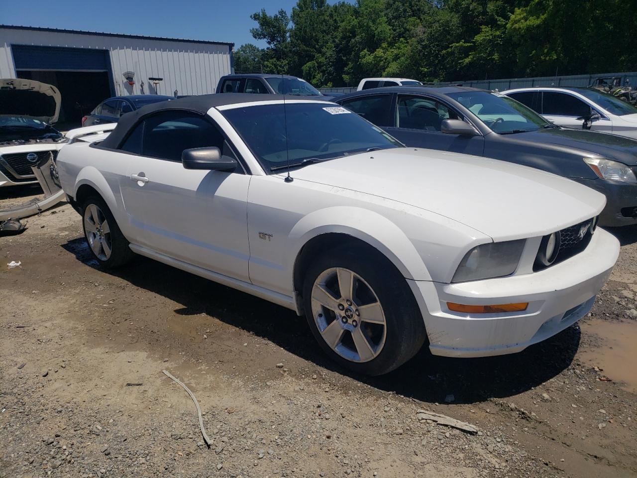 1ZVFT85H765172534 2006 Ford Mustang Gt