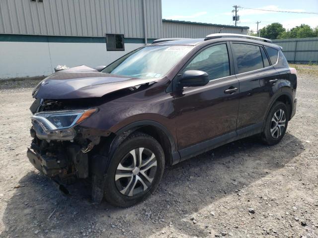 2016 Toyota Rav4 Le VIN: 2T3BFREV4GW429101 Lot: 59834624