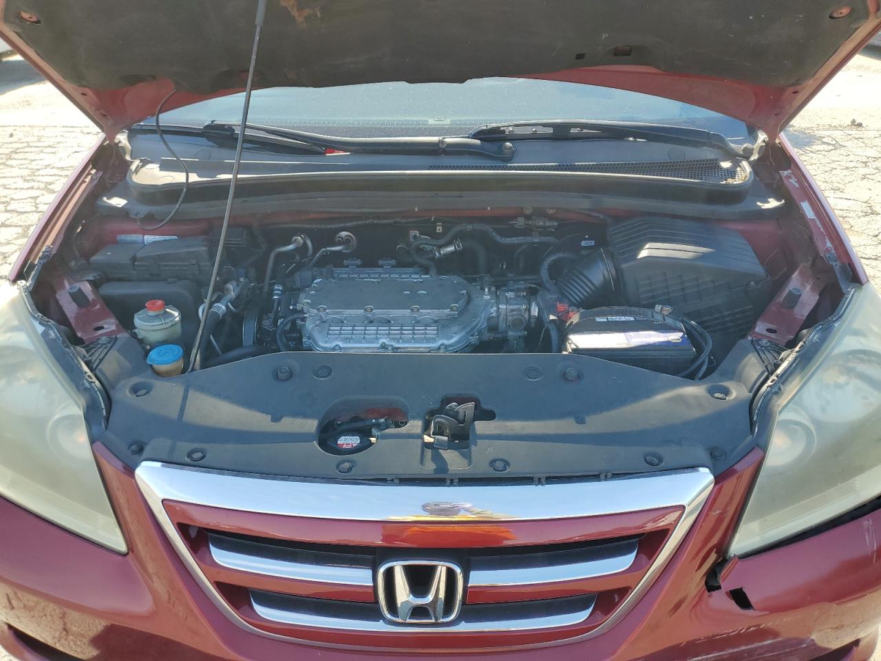 5FNRL38725B132493 2005 Honda Odyssey Exl