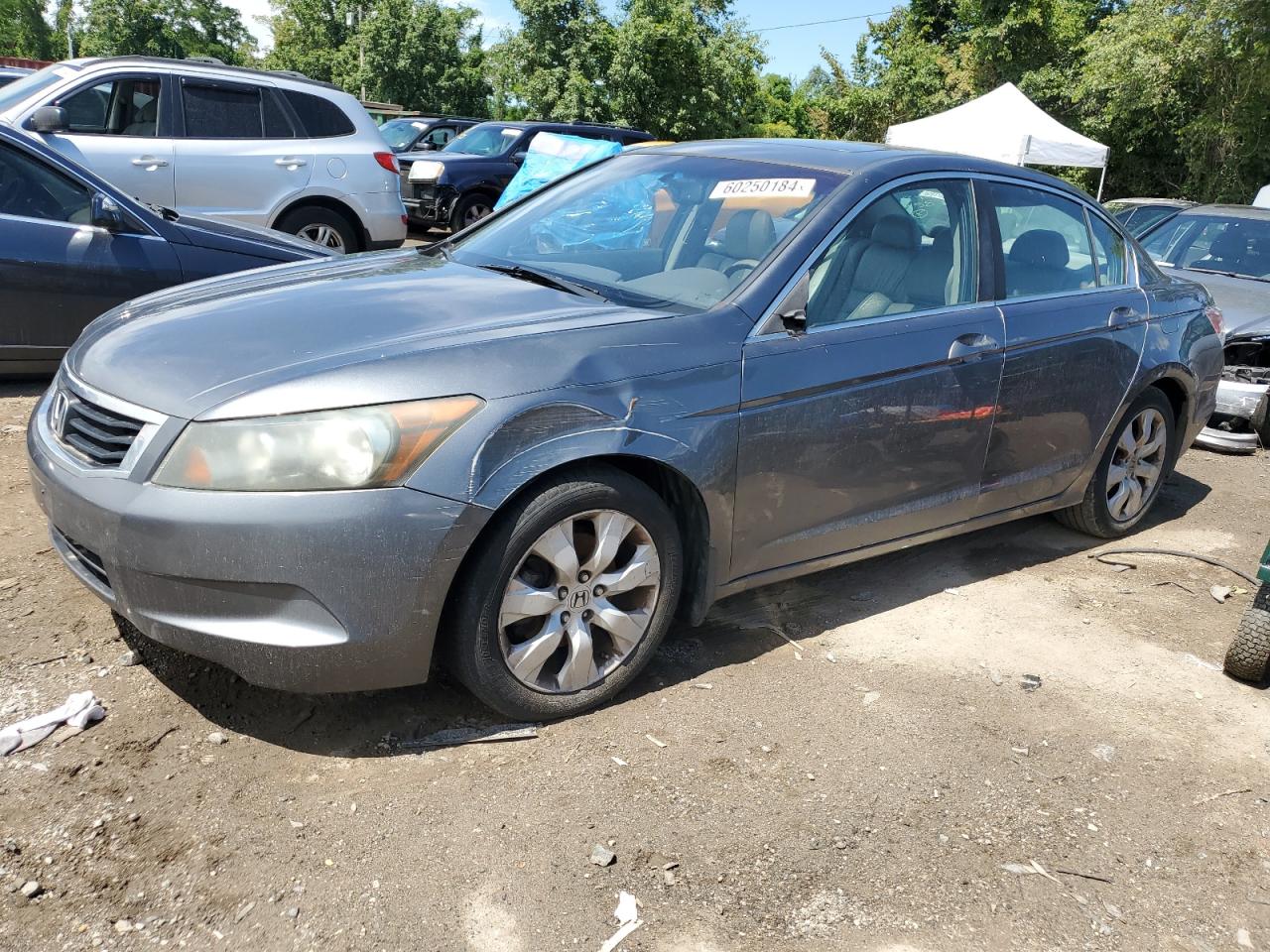 1HGCP2F86AA132307 2010 Honda Accord Exl