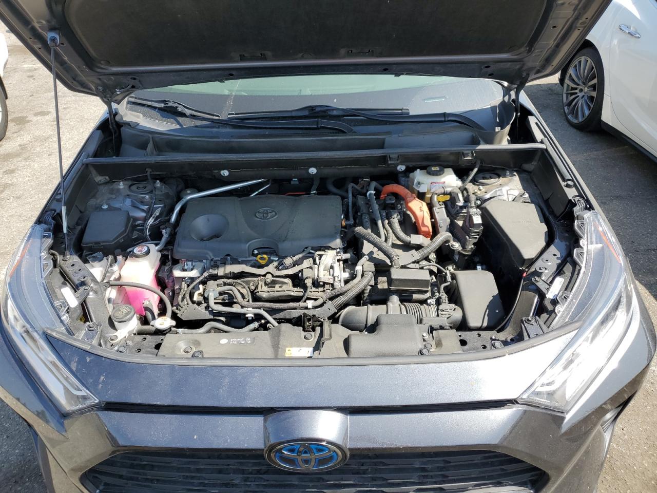 JTMRWRFV4LD550117 2020 Toyota Rav4 Xle