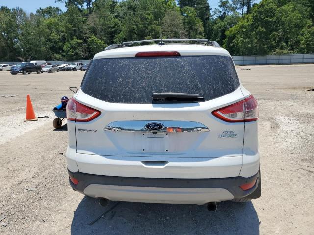 2013 Ford Escape Sel VIN: 1FMCU0HX5DUC99109 Lot: 58274594