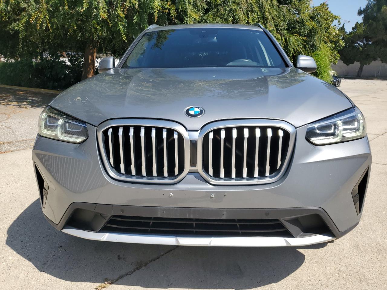 2023 BMW X3 xDrive30I vin: 5UX53DP02P9S17399