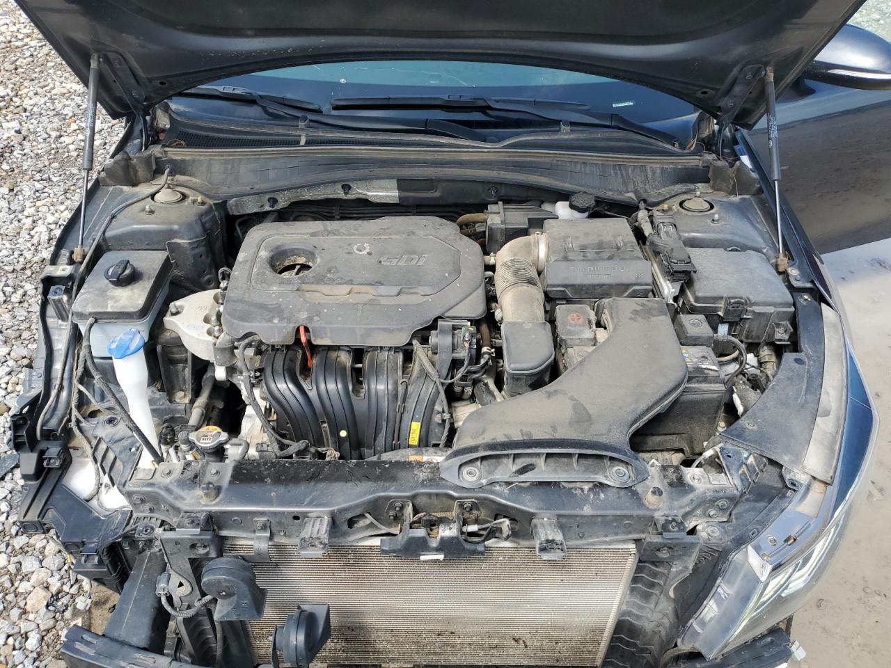 5XXGT4L31LG447541 2020 Kia Optima Lx