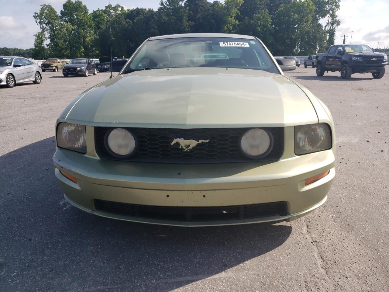 1ZVHT82H465223436 2006 Ford Mustang Gt