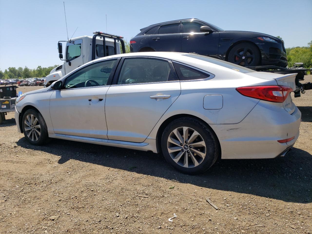 5NPE34AF3GH280646 2016 Hyundai Sonata Sport