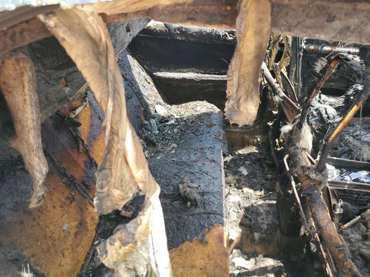 4T1BE30K23U157602 2003 Toyota Camry Le