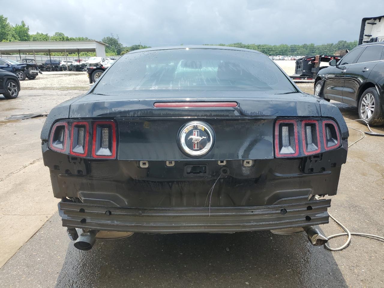 2013 Ford Mustang vin: 1ZVBP8AM7D5280235