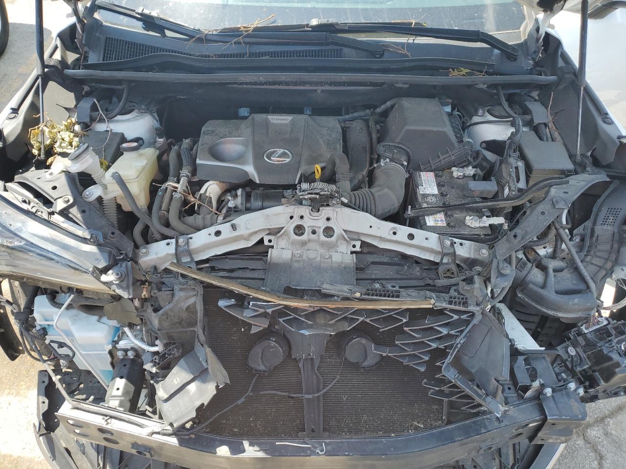 JTJBARBZ0K2213587 2019 Lexus Nx 300 Base